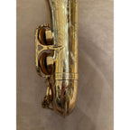 Selmer Paris Mark VII altsaxofoon 259890