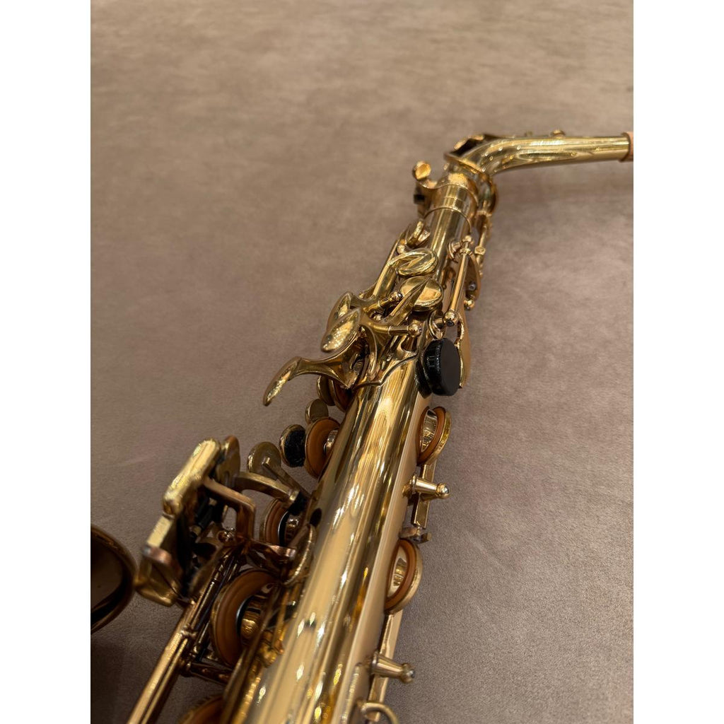 Selmer Paris Mark VII altsaxofoon 259890