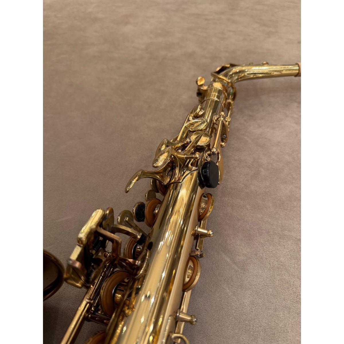 Selmer Paris Mark VII altsaxofoon 259890