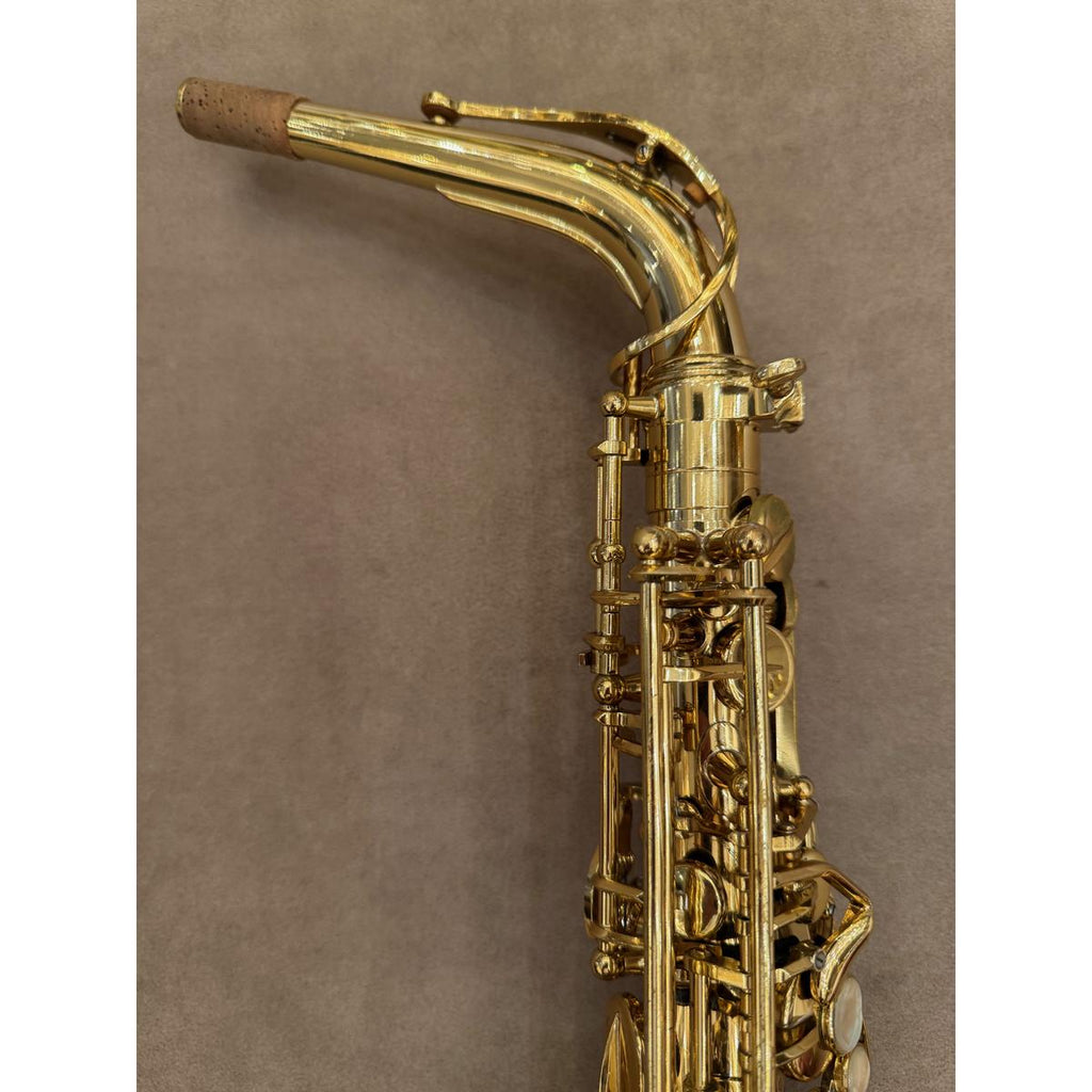 Selmer Paris Series III altsaxofoon 766980