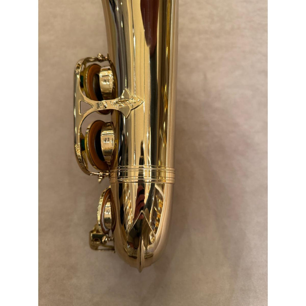 Selmer Paris SA80II altsaxofoon 455524