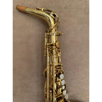 Selmer Paris SA80 altsaxofoon 343679