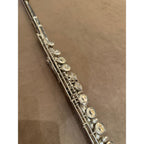 Trevor James TJ10xII dwarsfluit 2134