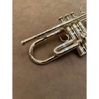 Yamaha YTR-4335GSII trompet 229296