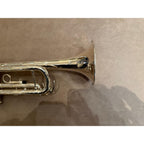 Yamaha YTR-4335GSII trompet 243516