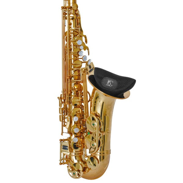 BG PA altsax hals etui