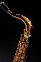 Selmer Paris Supreme verzilverde tenorsaxofoon