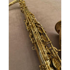 Selmer Paris Axos tenorsaxofoon 821745