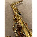 Trevor James Alpha altsaxofoon T5700