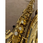 Trevor James Alpha altsaxofoon T5700