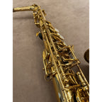 Trevor James Alpha altsaxofoon T5700
