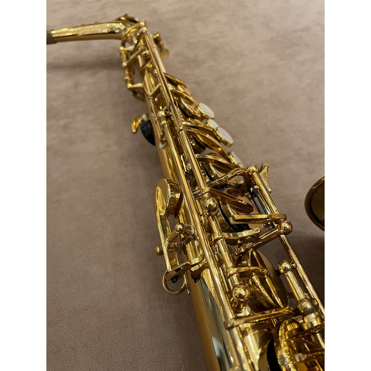 Trevor James Alpha altsaxofoon T5700