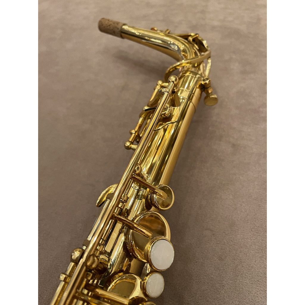 Trevor James Alpha altsaxofoon T5700