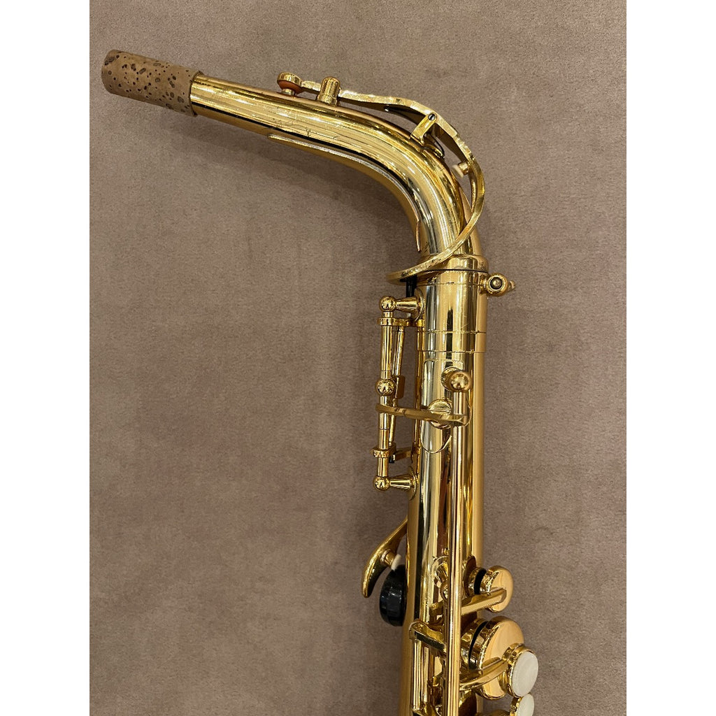 Trevor James Alpha altsaxofoon T5700