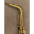 Trevor James Alpha altsaxofoon T5700