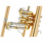 Yamaha YFH-631G bugel