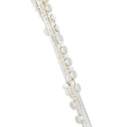 Yamaha YFL-312 dwarsfluit | €125 HUUR + €275 BORG