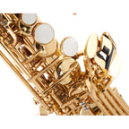 Yamaha YSS-475II sopraansaxofoon | €225 HUUR + €550 BORG