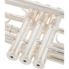 Yamaha YTR-4335GSII trompet