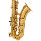 Yamaha YTS-280 tenorsaxofoon | €175 HUUR + €425 BORG