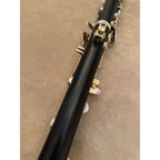 Buffet Crampon E12F Bb klarinet 1295281, foto 3