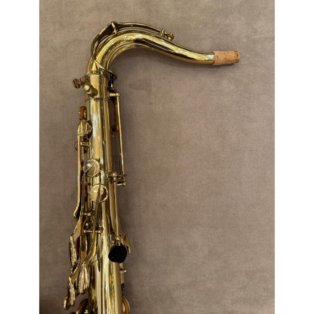 Achterzijde van de hals van de Buffet Crampon S1 30812