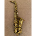 Selmer Paris Mark VI altsaxofoon 225169