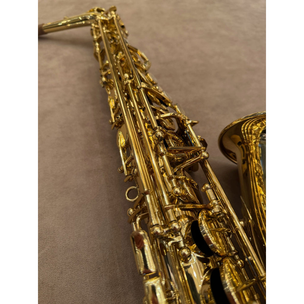 Selmer Paris Series III altsaxofoon 795242