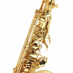 Selmer Paris Super Action 80 Series II goudlak altsaxofoon