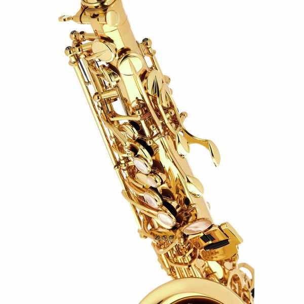 Selmer Paris Super Action 80 Series II goudlak altsaxofoon