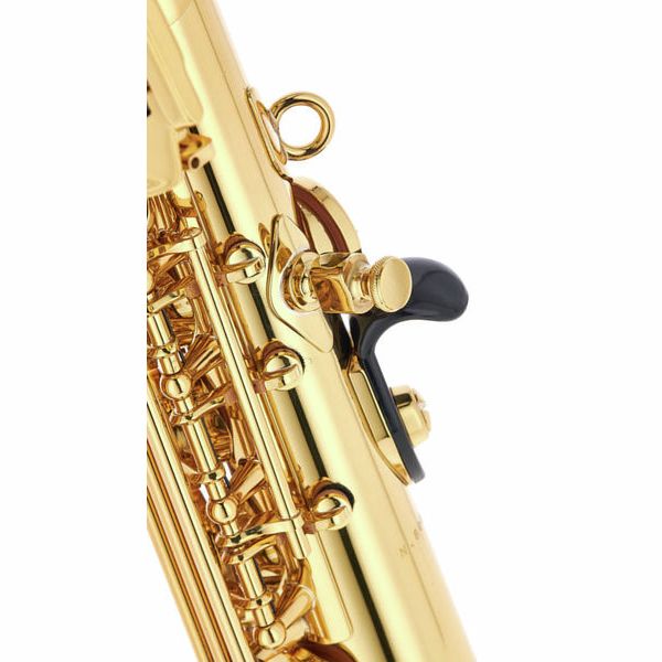 Selmer Paris Super Action 80 Series II goud gelakte sopraansaxofoon
