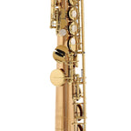 Yanagisawa S-WO20 Elite sopraansaxofoon