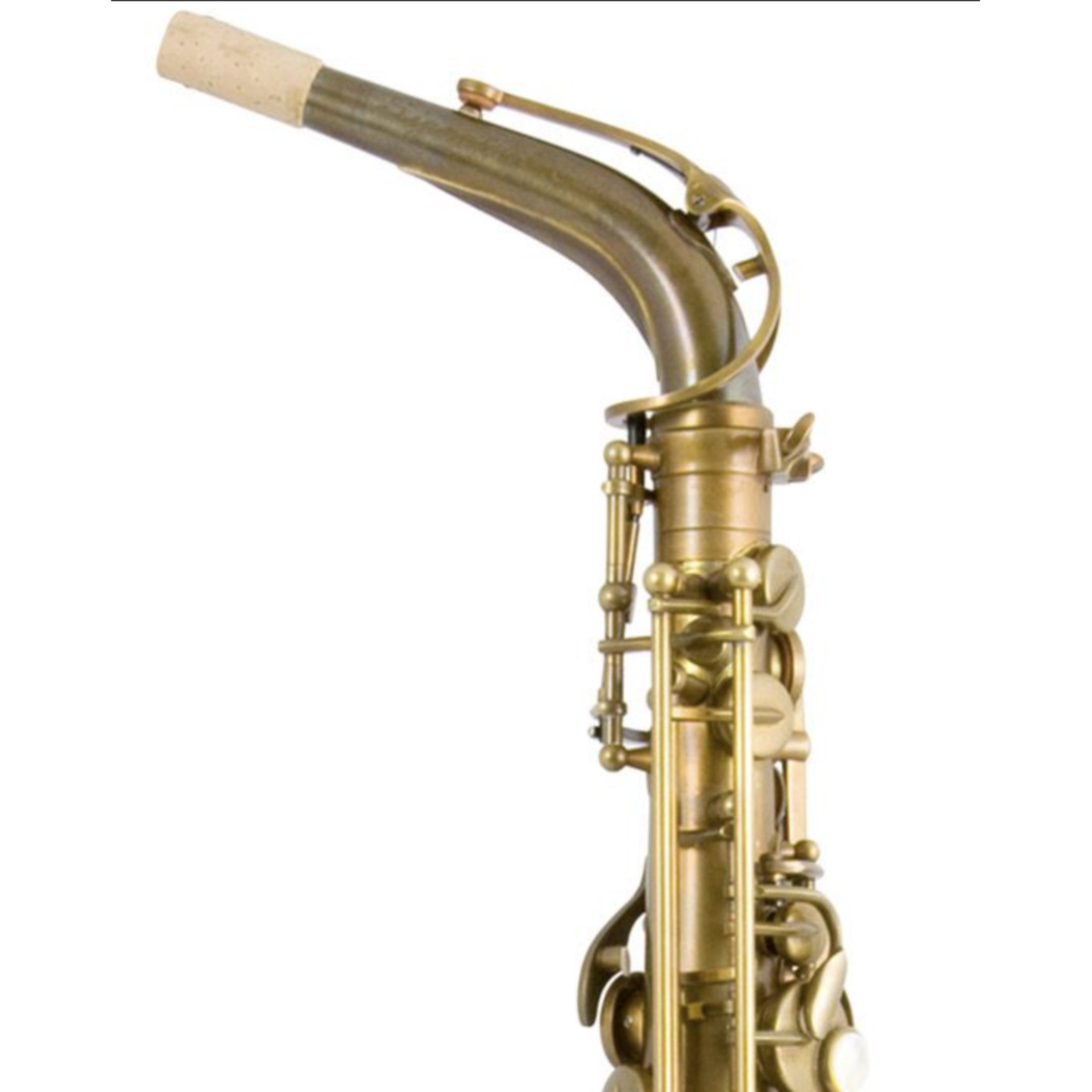 Trevor James Signature Custom raw altsaxofoon – Harry Bakker Muziek