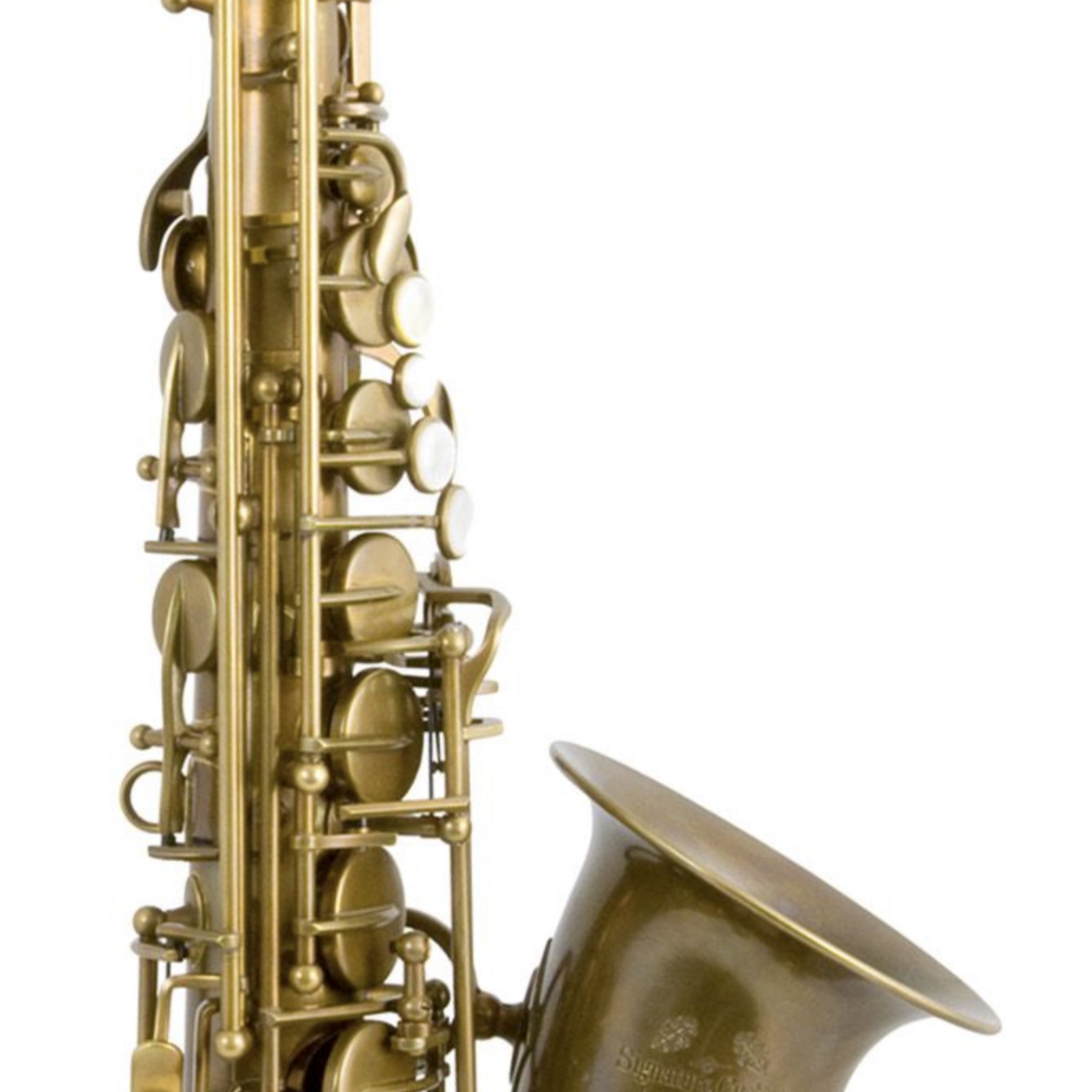 Trevor James Signature Custom raw altsaxofoon