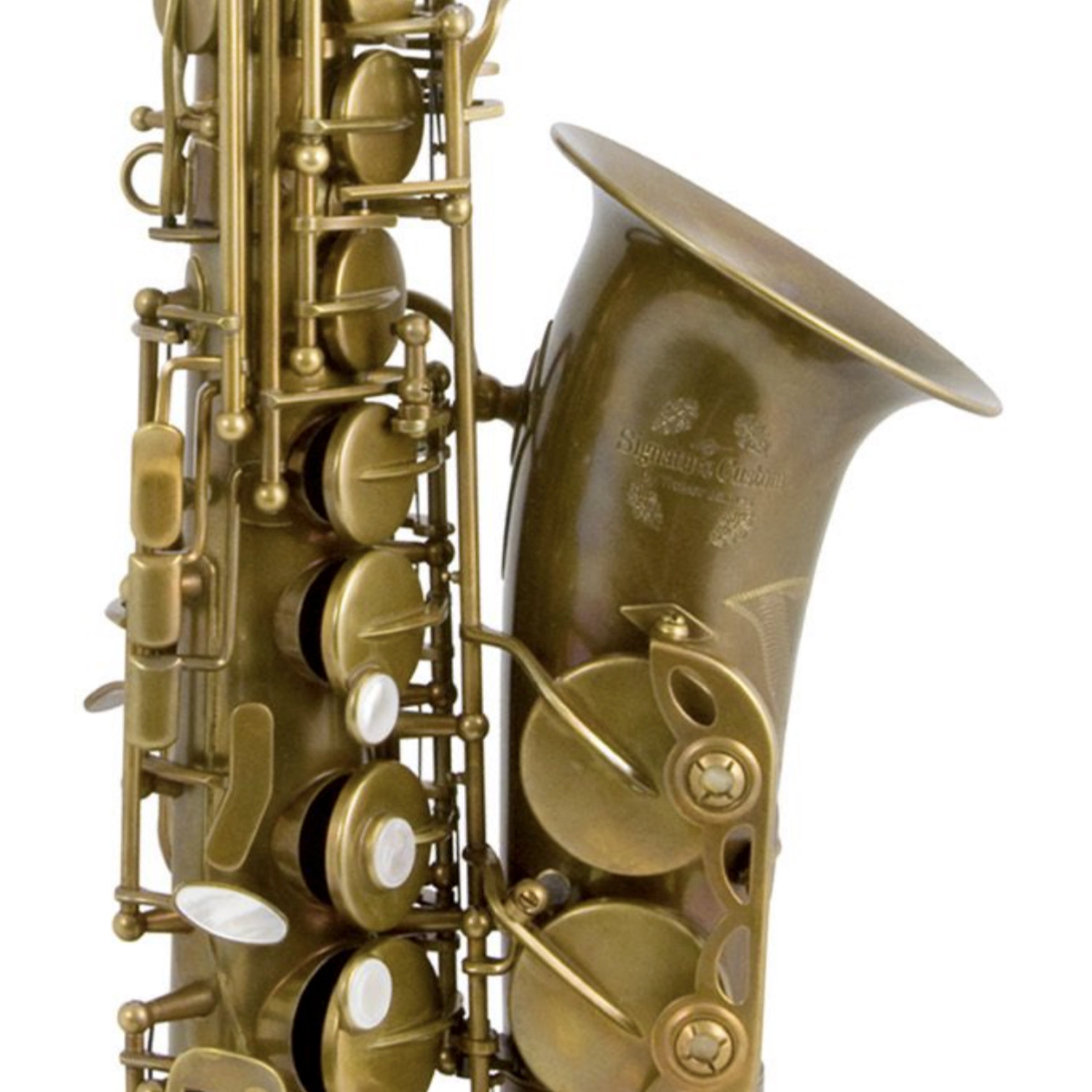 Trevor James Signature Custom raw altsaxofoon – Harry Bakker Muziek