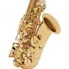Trevor James The Horn altsaxofoon