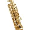 Yanagisawa A-WO33 Elite altsaxofoon 