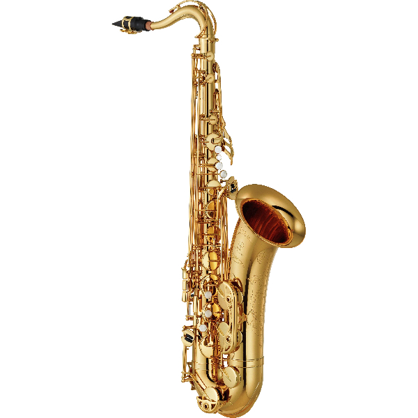 Yamaha YTS-480 tenorsaxofoon