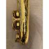 Selmer Paris Reference 54 Hummingbird altsaxofoon 677921