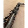Trevor James The Horn Classic II altsaxofoon D23728
