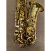 Trevor James The Horn Classic altsaxofoon D6673