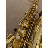 Trevor James Alpha altsaxofoon T5700