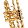 Yamaha YTR-6335RC trompet